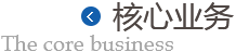 主营业务